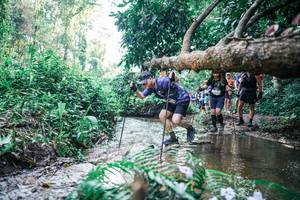 BIB: 
                            <button type="button" onclick="openModal(25451692)" class="btn btn-primary btn-sm float-right btn-popup" data-toggle="modal" data-target=".modal-high-quality">
                        <i class="fas fa-shopping-cart"></i> Add to Cart
                    </button>
                                            <button type="button" onclick="isThisMe(25451692, true)" class="btn btn-success btn-sm float-right btn-popup btn-isme hidden" data-toggle="tooltip" data-placement="bottom" title="นี่คือรูปของคุณใช่ไหม คลิกที่นี่เพื่อเอาเข้าอัลบั้ม">
                        <i class="fas fa-plus"></i> Add to album
                    </button>
                    <button type="button" onclick="isThisMe(25451692, false)" class="btn btn-warning btn-sm float-right btn-popup btn-isnotme hidden">
                        <i class="fas fa-ban"></i> Remove from album
                    </button>